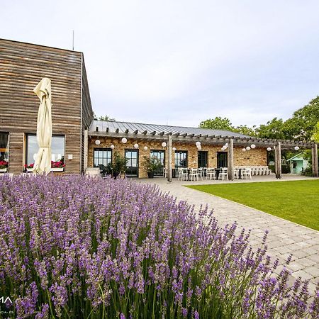 Győrújbarát Panorama Birtok - Wellness Panzio, Konferencia Es Rendezvenykoezpont Bed & Breakfast エクステリア 写真